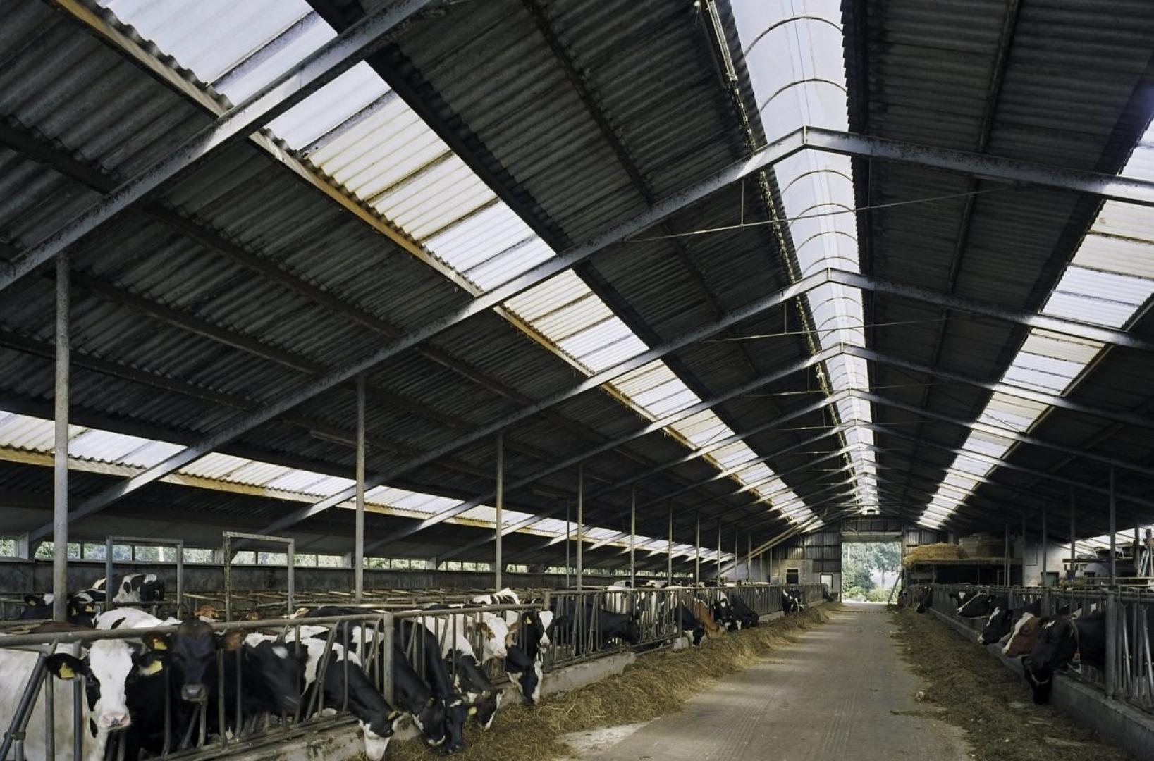 Subsidie voor vermindering stikstofemissie in Friesland, Groningen en Drenthe open