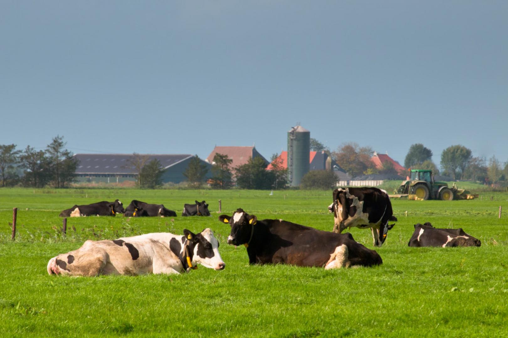 Netwerk Praktijkbedrijven presenteert online magazine ‘Methaan uit mest’