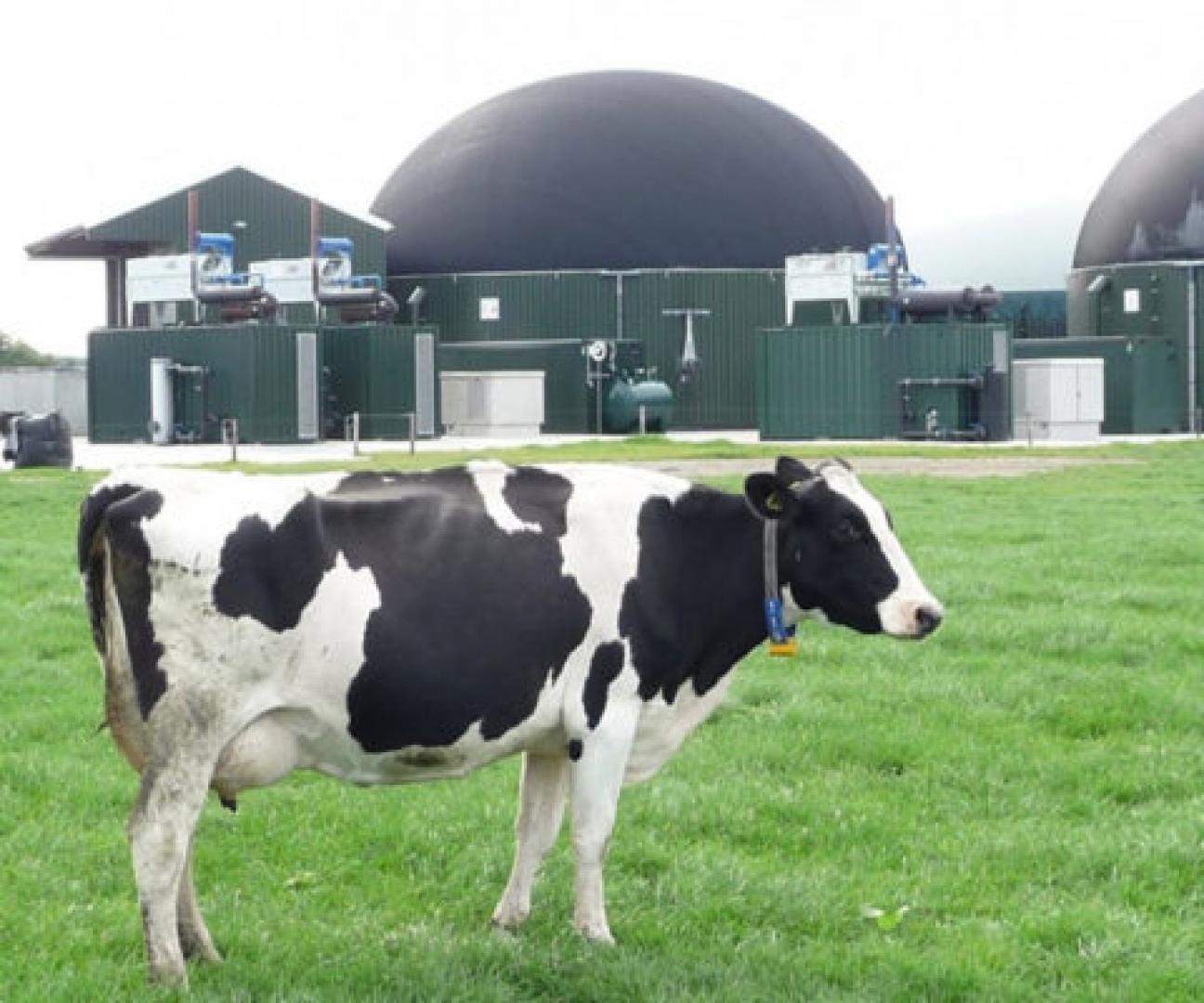 ‘Monomestvergisting heeft een belangrijke rol in de energie- en landbouwtransitie’
