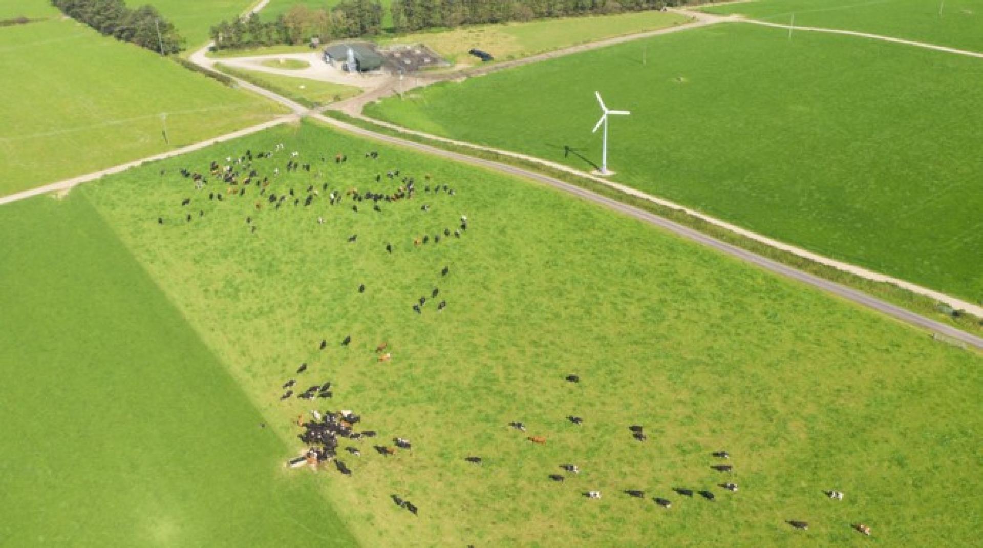 Webinar Ierland: kansen voor de agritechsector (17 juni 11.00-12.00 uur)
