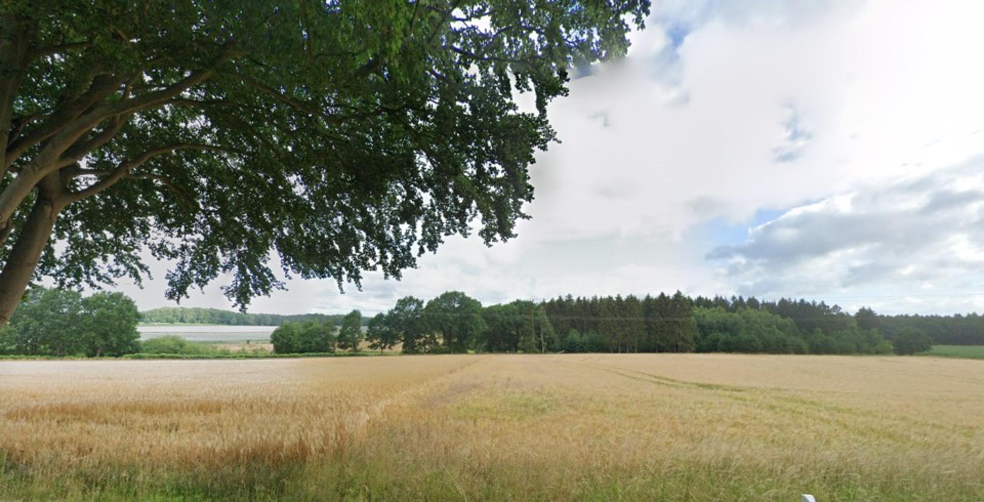 Kansen en uitdagingen op de Duitse mestmarkt