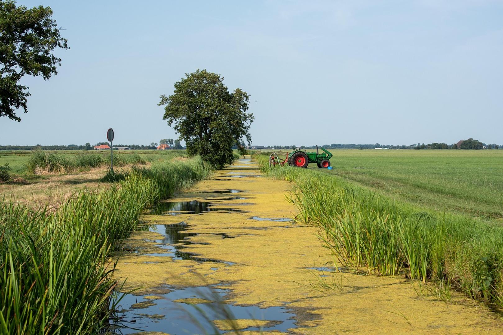 Nitraatuitspoeling naar het grondwater verminderen – zo pak je het aan!